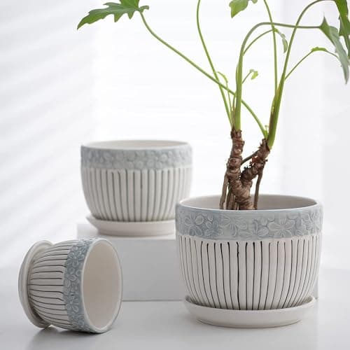 Garden Art Ceramic Pot for Plants (GA84013-WL)