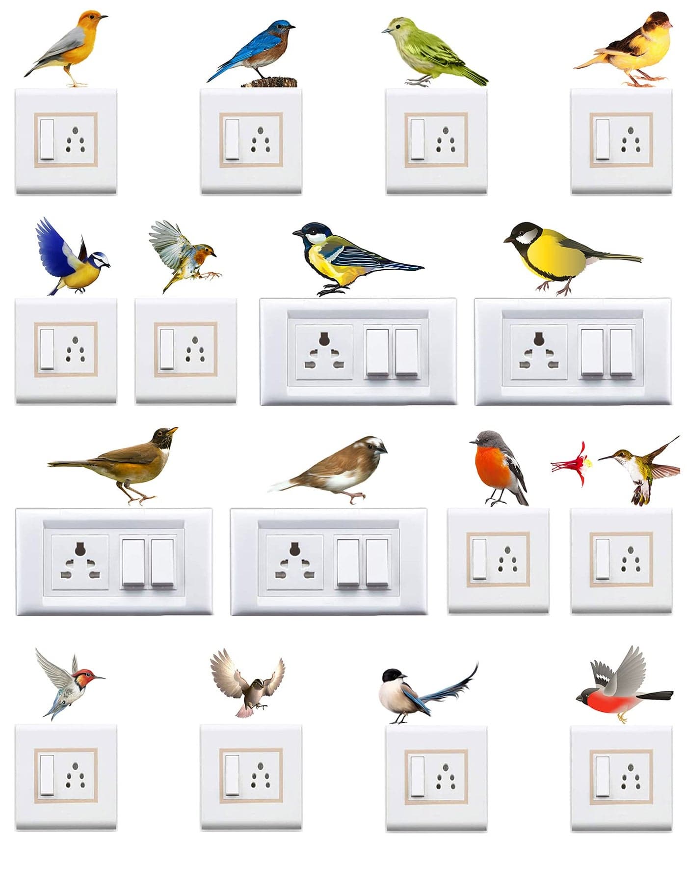 WallDesign Vinyl Natural Birds Switchboard Sticker (Multicolour) - Set of 16-Self-Adhesive