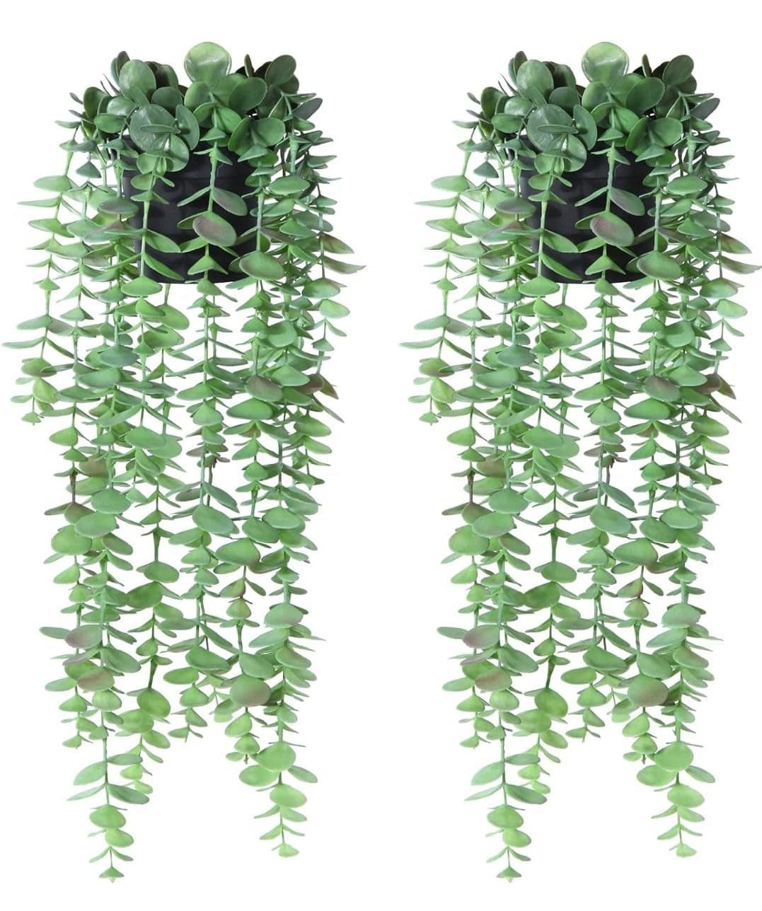 VRB Dec Plastic Tm Artificial Greenery Ferns Plants Vines Hanging Flowers Needle Wall Hanging For Home Decor Door Wall Balcony Decoration Party Festival Craft(Artificial Plants Hanging(Design 3), 2)