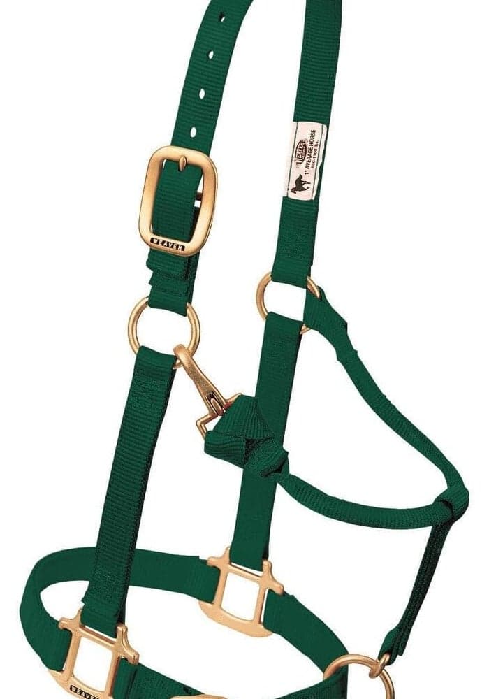 Weaver Leather Original Adjustable Nylon Horse Halter - Hunter Green