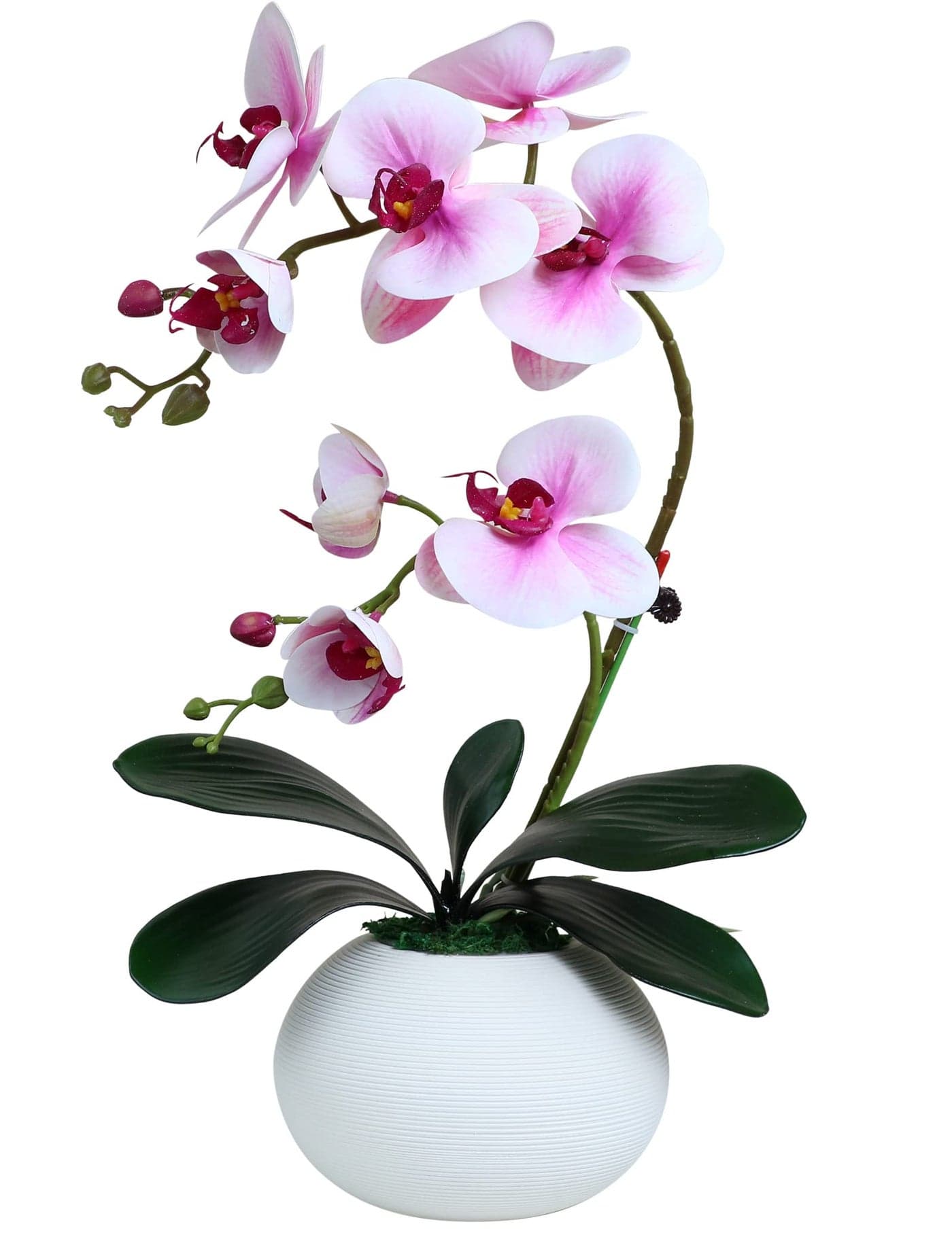 Forlaoers 17" Tall Purple Phalaenopsis Orchid Artificial Flowers Included Vase Faux Plant Potted for Indoor Home Decor Office Bathroom Wedding Decoration Table Centerpiece Arrangements Ornaments