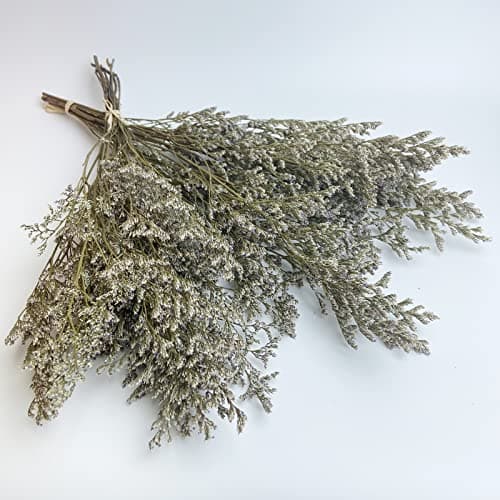 Birtlynn Preserved Caspia Statice Flower Bouquets, 100% Natural Long Lasting Flowers, 17 Inch Arrangements for Vase, Home Decoration Photo Props Parties and Weddings, DIY Décor-Statice