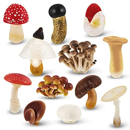 Deekin 12 Pcs Figure Mini Miniatures Figurines Mini Realistic Decor Themed Party Gifts for Diorama Projects Birthday Gift Learning Mushroom