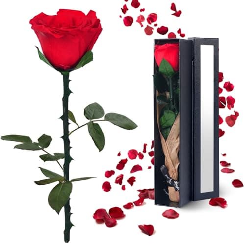 YAMPP Flowers for Delivery Prime Gifts for Women: Preserved Rose Gifts for Mom Wife Grandma Birthday Single Rose Red