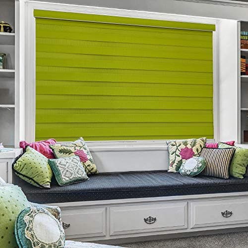 Zebra Blind for Windows Dual Layer Zebra Roller Shades Light Filtering Sheer Window Treatments Privacy Light Control for Day and Night, Color Green, W143XH130CM