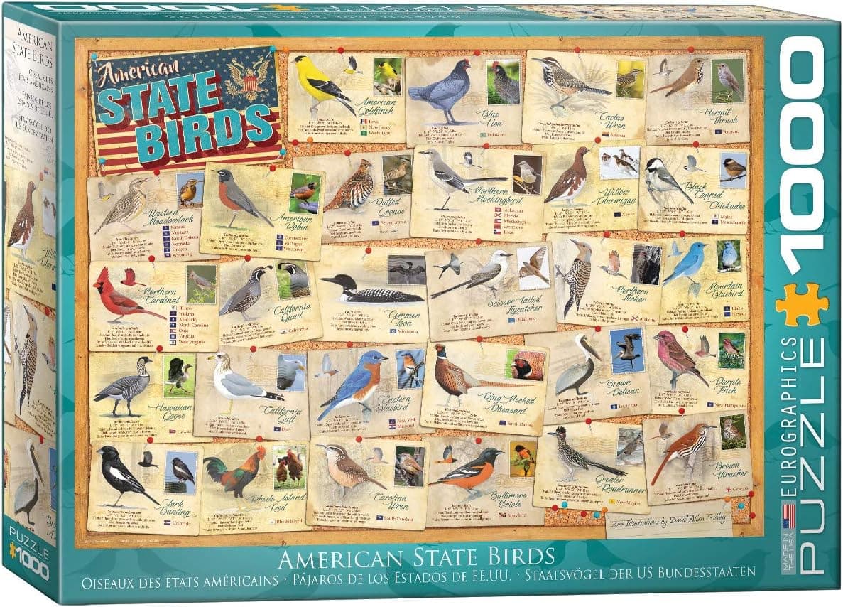 American State Birds by David Sibley