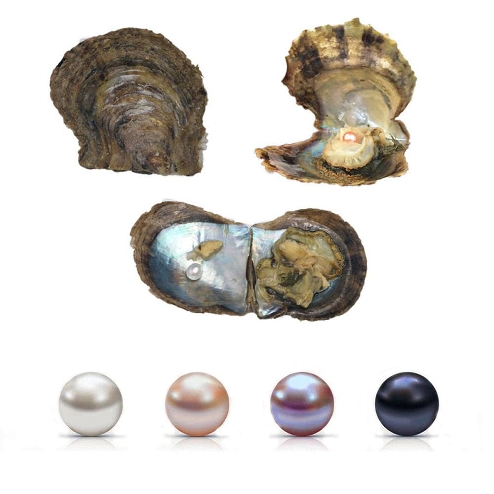 4PC Saltwater Pearl Cultured Love Wish Akoya PearlOyster with Pearl Inside for Pearl Gift Fun for Children Family Friends PartyOyster with Pearls Inside(6-8mm, 4PC)