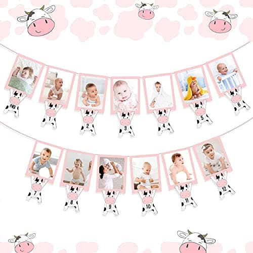Festiko®Holy Cow 12 Month Photo Banner Cow Birthday Banner Decorations Holy Cow Im One Birthday Decorations Girl Cow Themed Birthday Party Supplies for Girl