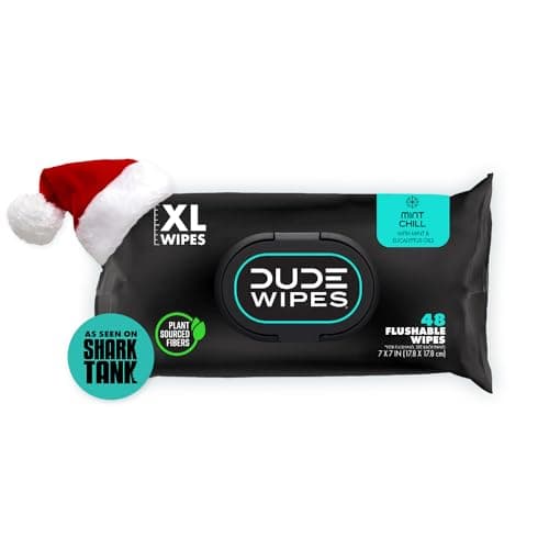 DUDE Wipes - Flushable Wipes Stocking Stuffers - 1 Pack, 48 Count - Mint Chill - Vitamin-E, Aloe, Eucalyptus & Tea Tree Oils - Septic and Sewer Safe
