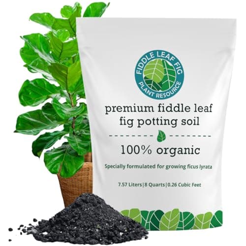100% Organic Fiddle Leaf Fig Soil – Optimally-Draining Potting Mix for Healthy Roots, Fewer Brown Spots & Faster Growth | Enriched with Biochar & Bark | Made in USA | Large 7.5L Bag