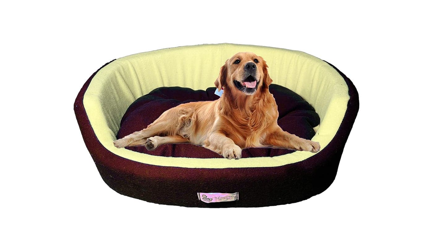 Furry Land Small Size Dog Bed for Small Size Dog and cat Oval Shape Dual Color Cream Brown Ultra Soft Velvet Fabric Polyester Fill Pet Bed