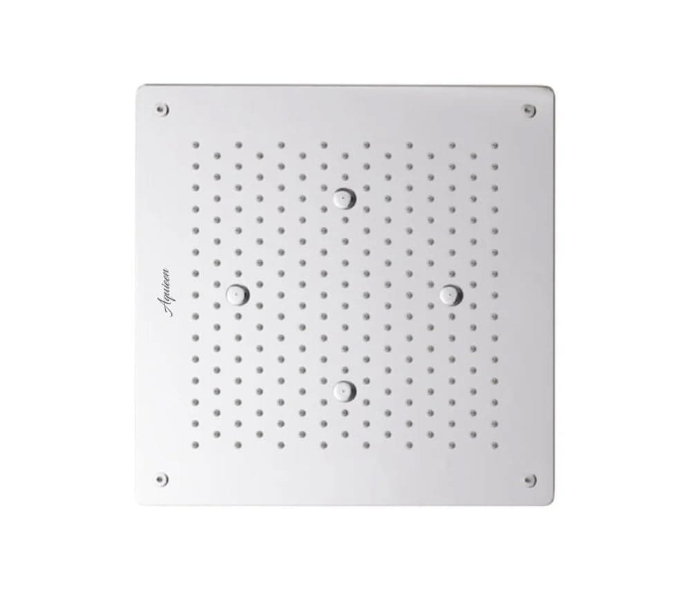 Aquieen 2 inlet rain and mist shower SS304 Ceiling Shower (16" X 16" Rain + Mist)
