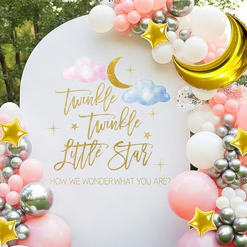 Twinkle Twinkle Little Star Gender Reveal Decorations Cloud Gender Reveal Decorations Star Decal Sign for Balloons Arch Backdrop Boy or Girl Baby Shower Decoration for Girl Not Balloons
