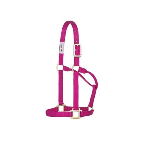 Weaver Leather Original NonAdjustable Nylon Horse Halter