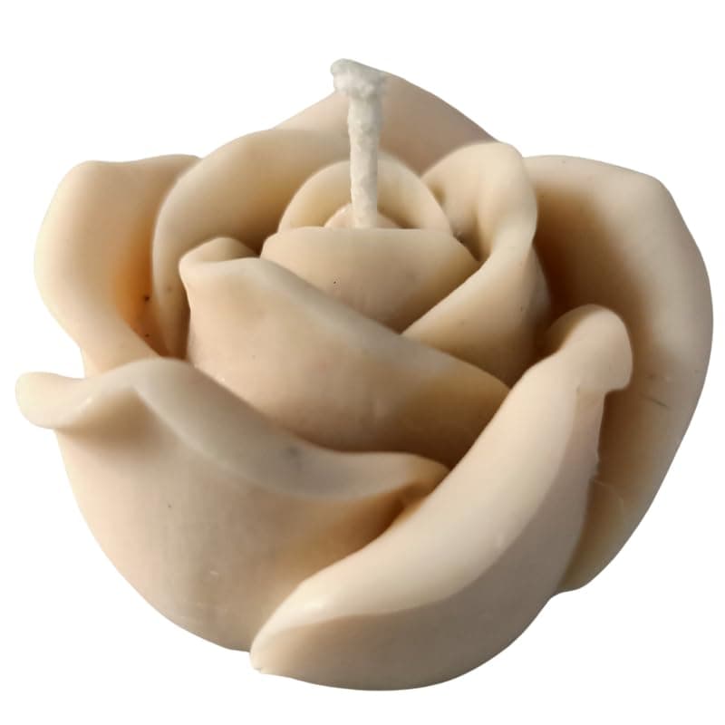 Luxury Candles Wax Scented Designer Candle with Premium Fragrance Color Off White Candle VAR 1_Off White