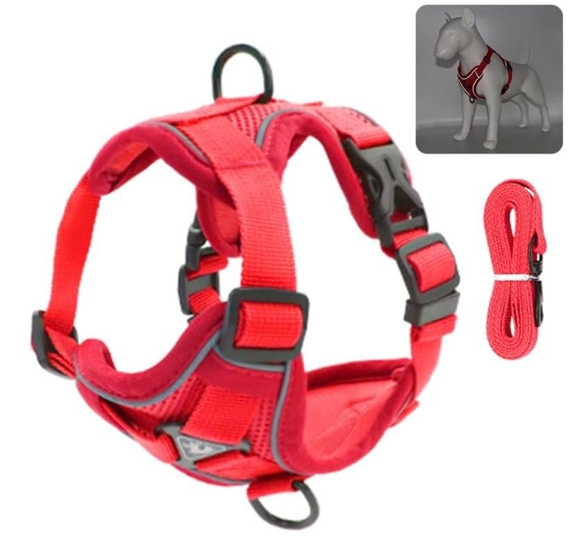 TruBest™ Small Dog Vest Harness | Puppy or Cat Vest Harness | Dog Harness with Nylon Leash | Soft & Breathable | Reflective Escape Proof | No Pull No Choke Harness (Large, Red)