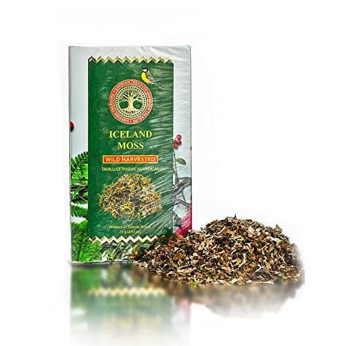 Iceland Moss Wild Harvested 265 OZ 75 Grams Herbal Tea Cetraria islandica