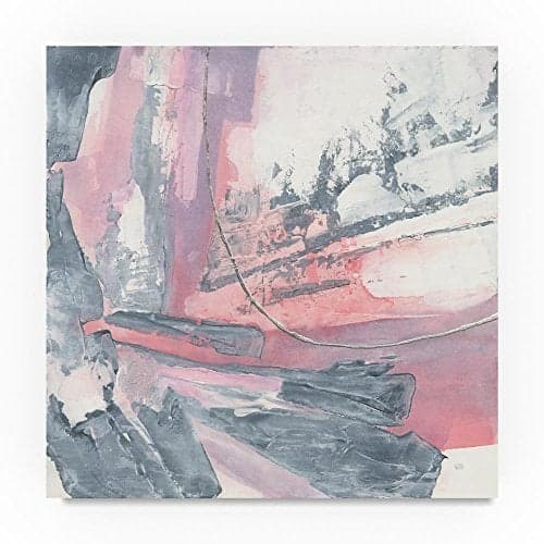 Trademark Fine Art Whitewashed Blush I by Chris Paschke, 18x18-Inch