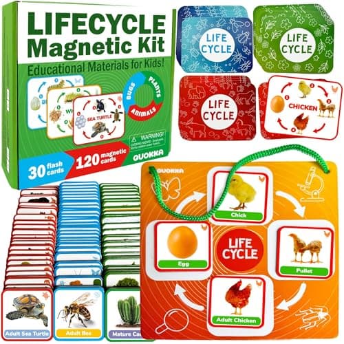 QUOKKA Life Cycle Kit Toy Montessori 30 Flash Cards Toddler Science Activities for Kids Ages 24 Prek Animal Learning Materials 35 120 Magnetic Toddler Classroom Must Haves for Preschool