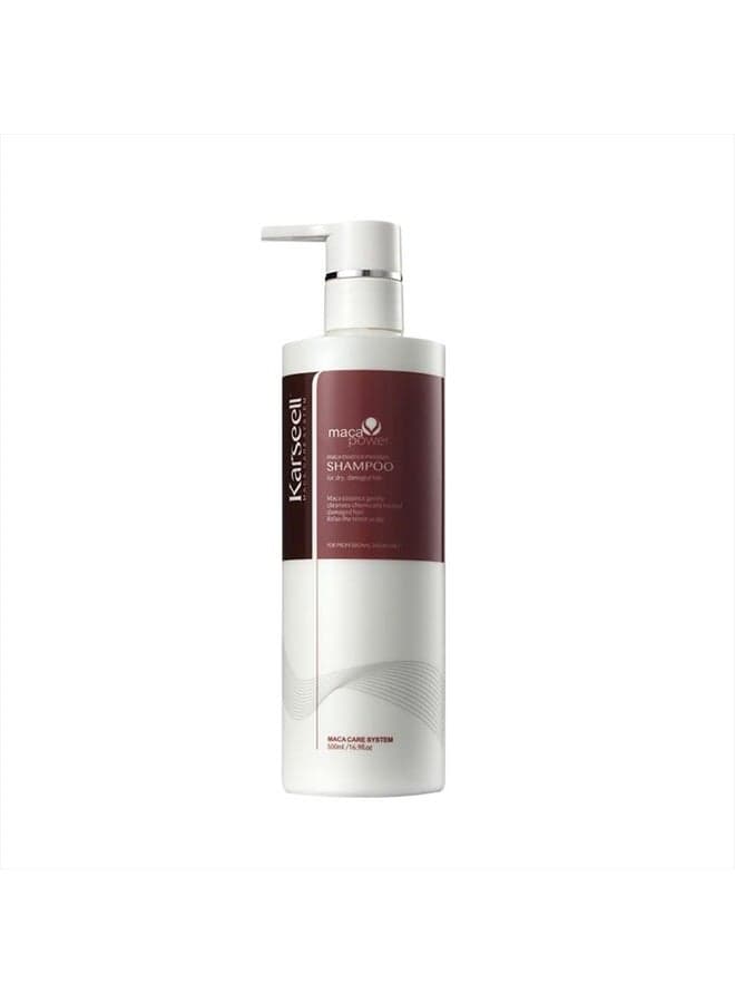 Argan Oil Shampoo Herbal Extract Moisturizing Deep Repair Smooth Shampoo for Dry and Damaged Hair 16.9Oz 500ml