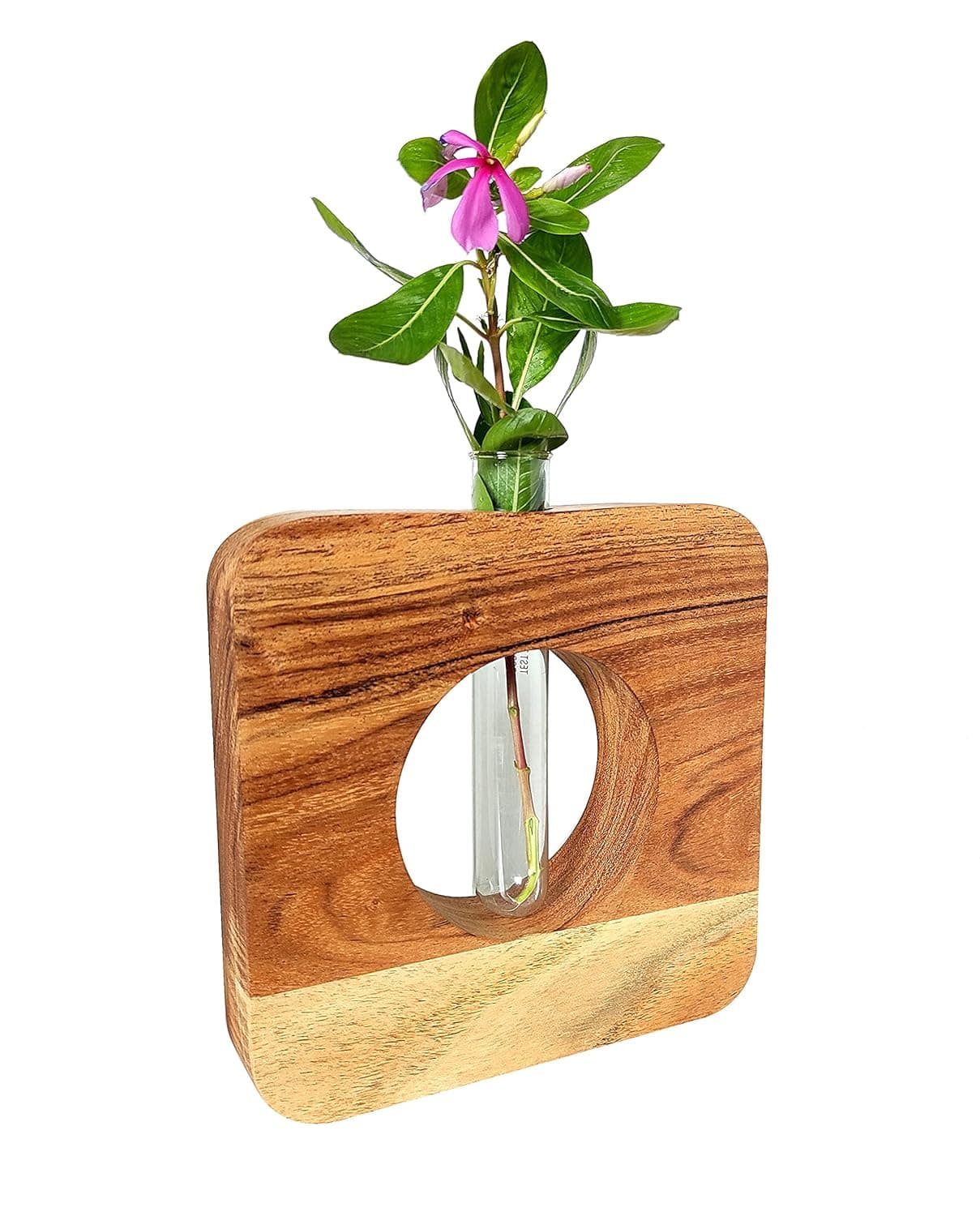 Kraftyhome Wooden vase with Glass Tube Test Tube Planter Modern Flower Bud Vase with Wood Stand Tabletop Glass Terrarium for Propagating Hydroponics Plants 7 inch SQR