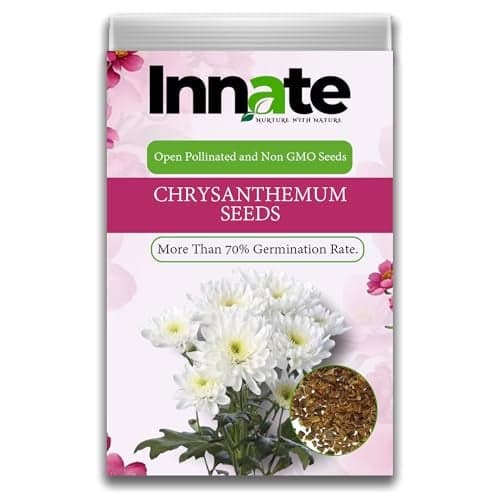 Innate Chrysanthemum Seeds, Open Pollinated, Non GMO, 70% Germination Rate, White Flowers. India's Most Popular Premium Flower Seeds | Sow & Grow Fresh Seed in Your Garden Perfect for Home & Terrace.