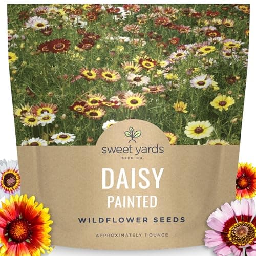 Painted Daisy - Large 1 Ounce Packet - 10,000 Flower Seeds for Planting - Chrysanthemum carinatum
