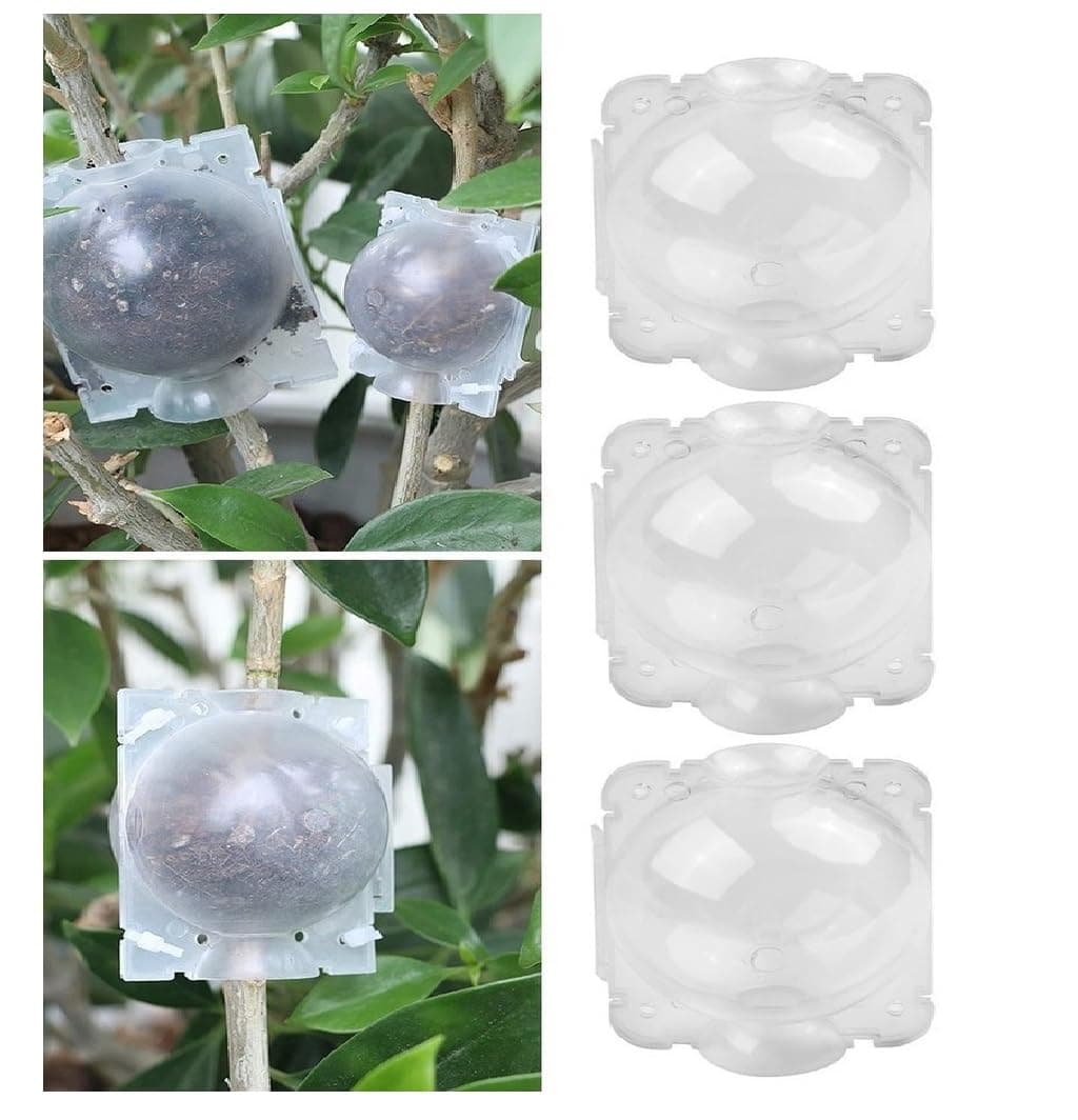 Plant Rooting Ball Device, 2 inch, Reusable Grafting Ball with 4 Fixed Ports (20 pcs)