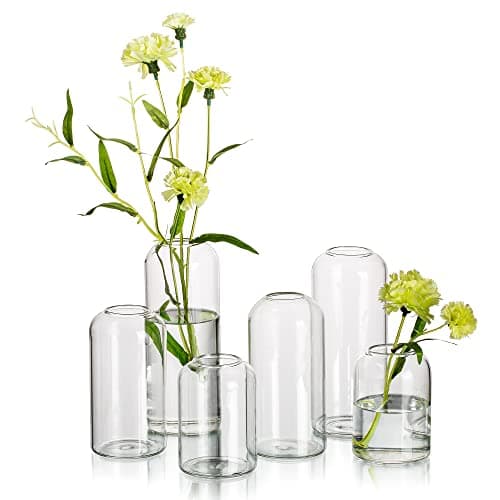 Hewory Glass Clear Modern Vase Set of 6 Small Bud Vases for Flowers Elegant Home Decor Floral Arrangements Wedding Party Events Centerpieces