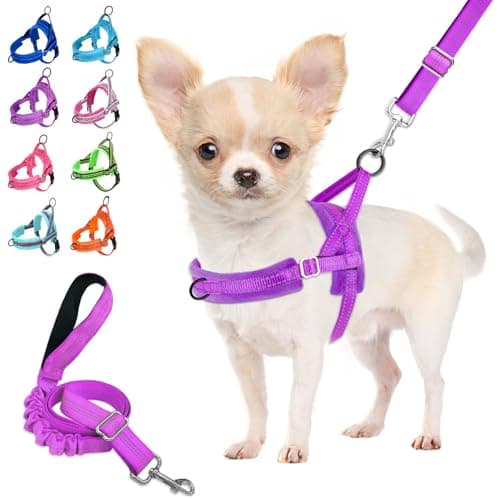 Lukovee No Pull Dog Harness and Leash Set, Soft Padded Small Dog Harness, Neck & Chest Adjustable Reflective Vest Puppy Harness with 4ft Lightweight Anti-Twist Dog Leash for Small Dogs (XXS, Purple)