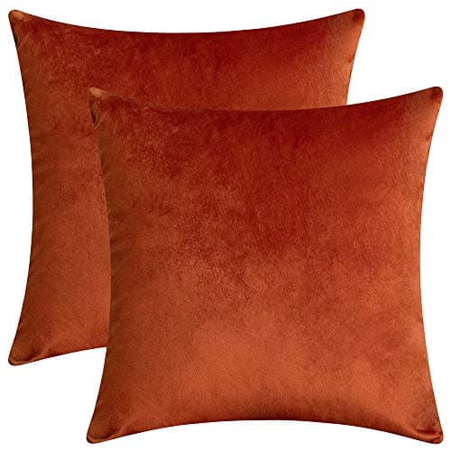 Rythome Set of 2 Comfortable Velvet Throw Pillow Cases Decorative Solid Cushion Covers for Sofa Couch and Bed - 16"x16", Rust