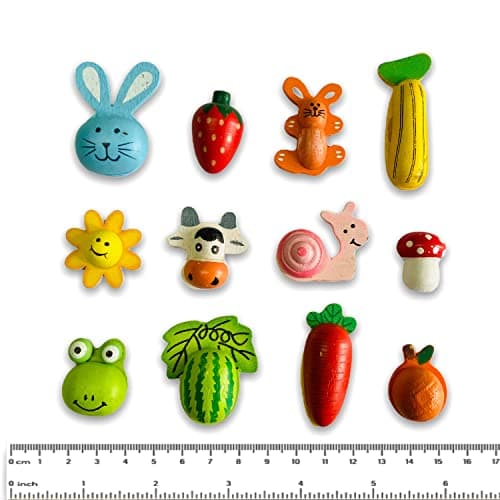 SuperBasics Wood Fridge Magnet (Multicolour)
