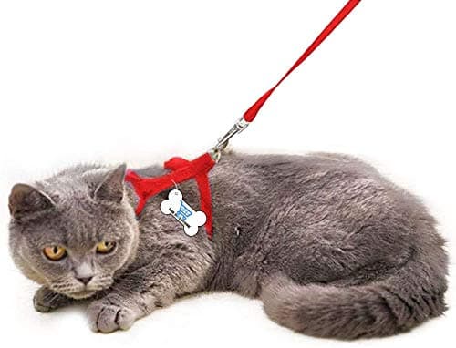 The DDS Store Escape Proof Cat Harness, Cat Lead Set of Kitten Nylon Lead Little Pet 49.2inch - Soft Adjustable - Best for Kitten Walking Cat Adjustable Nylon Strap Collar/Harness (Blue, Plain)