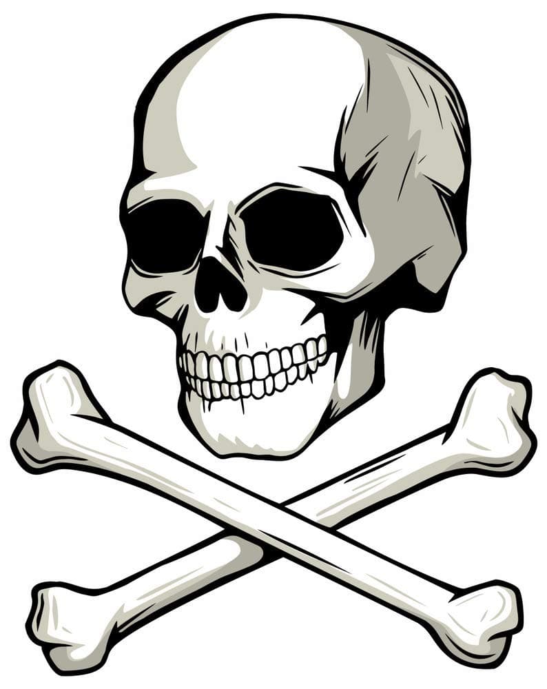 5 Ace white skul and bones wall sticker poster of skull,cartoon(size:12x18),multicolor