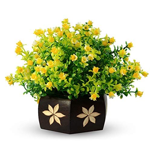 Crystu Beautiful Artificial Bonsai Plant with Pot, Bonsai Tree & Plant | Bonsai Tree for Indoor Office Home Decor Showpiece (Pack 0f 1 pc)