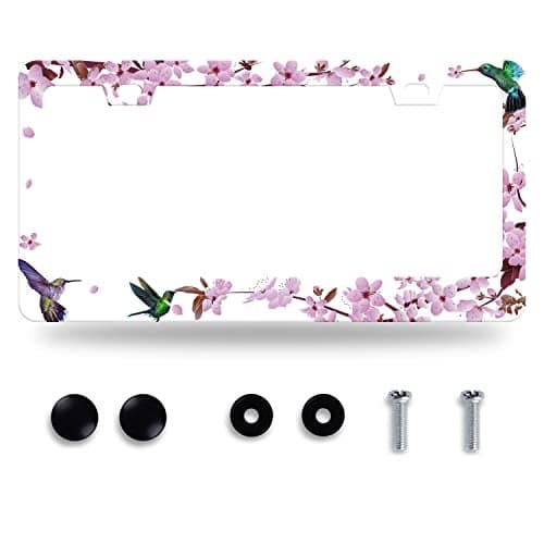 Hummingbird Flowers License Plate Frame Beautiful Bird Floral Plate Holder Stainless Steel Auto Parts Colorful License Plate Decoration with 2 Screws Size 123 x 63 for Men Women