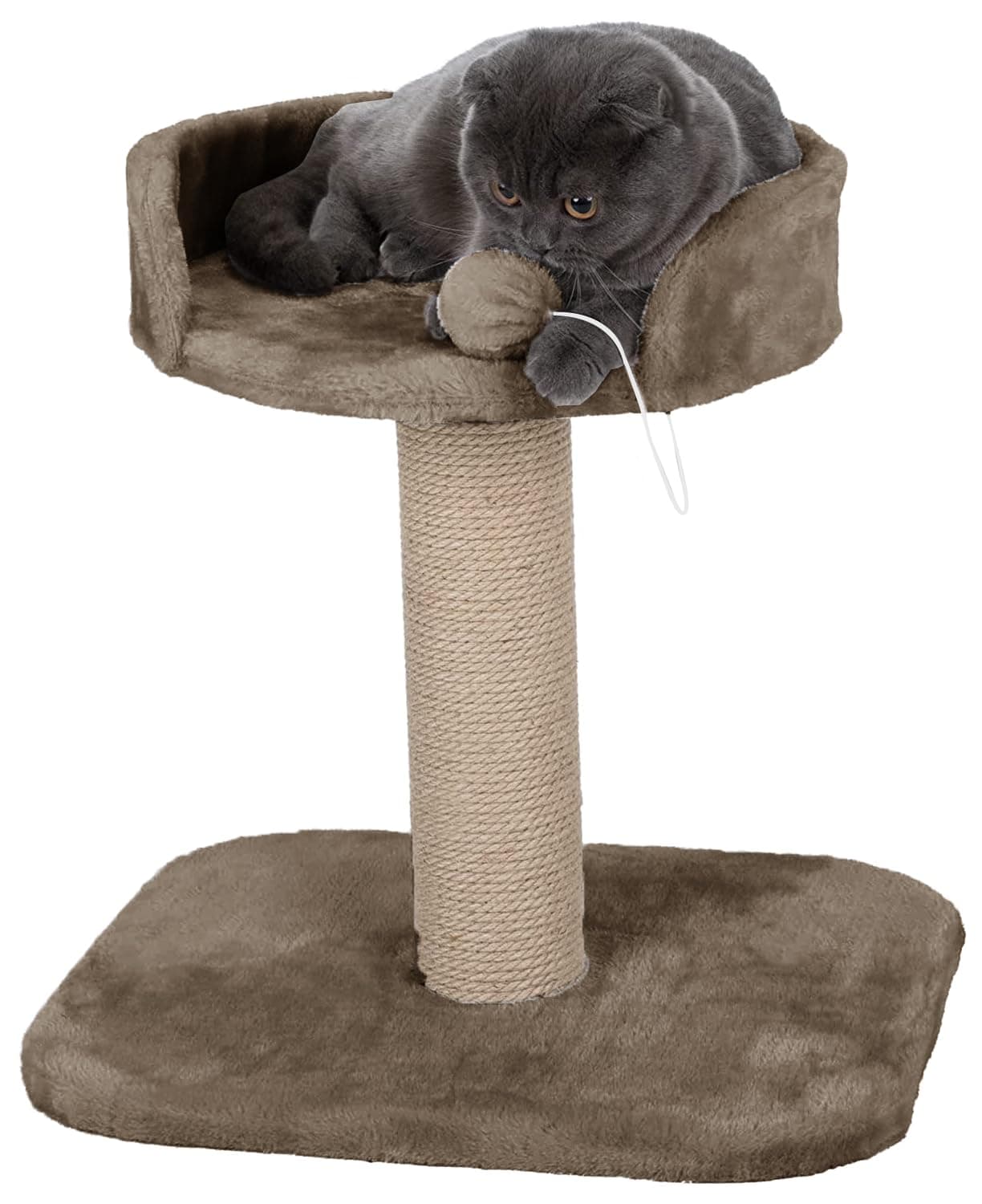 FURRLOVERS Activity Kitten Cat Tree - Hanging Ball | Top Seat | Jute Rope Scratching Post (Height 16 Inch) (Brown)