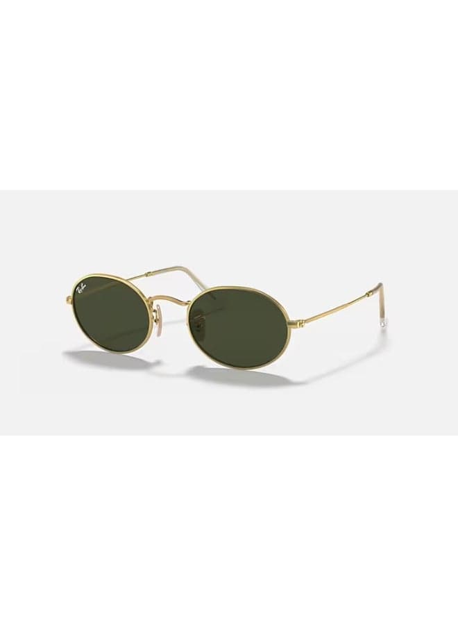 Unisex RB3547 001/31 Unisex Full Rim Oval Sunglasses - Lens Size: 54 mm