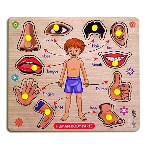 Lefan Wooden Puzzles Wooden Human Body Parts Puzzle Educational Anatomy Toy for Kids Educational Montessori Learning Puzzle for Toddlers & Preschoolers (Body Wooden Big)