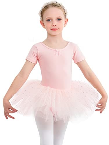 Toddler Dance Outfits Ballerina Outfit Girls Dance Leotard with Skirt Ballet Outfit Ballet Tutu Ballerina Costume Pink