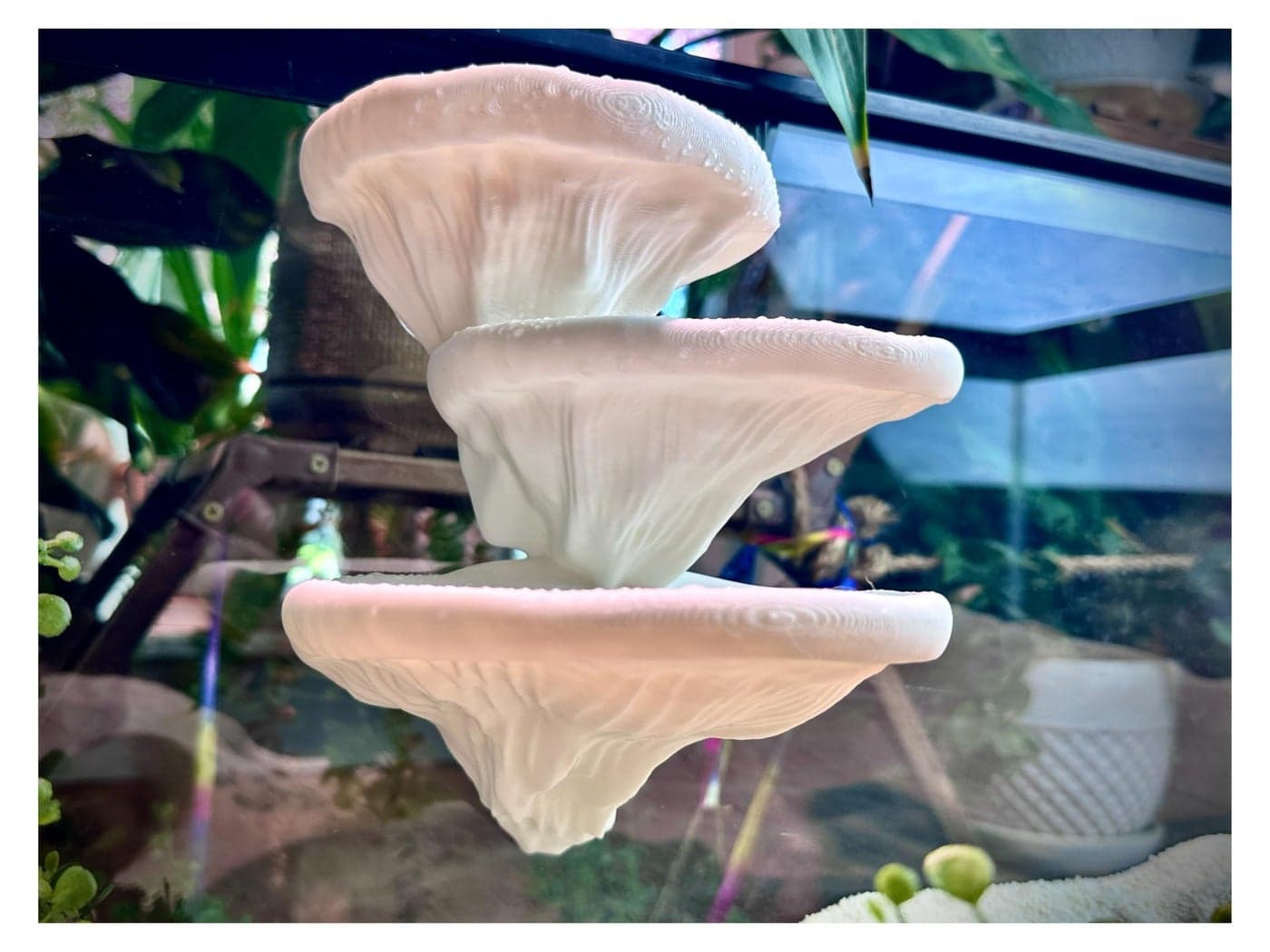 Mushroom Ledge for Terrarium – Climbing & Resting Platform with Suction Cups (Bone, 6''x4.5''x5.25'')