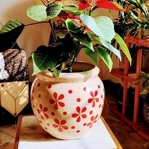 Niyara Designer Ceramic planters pots for Indoor Outdoor Home, Garden Office Decor Balcony Planters Gamla Flower Size- Large, 8 inches (Red Warmth)