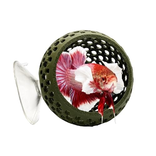CTWPets Natural Betta Bulb Hide | Betta Rest Fish Tank Ornament | Aquarium Cave with Suction Cup for Small Fish Tank, Betta Habitat, Shrimp Hideout, Aquatic Decor (Forest Green)