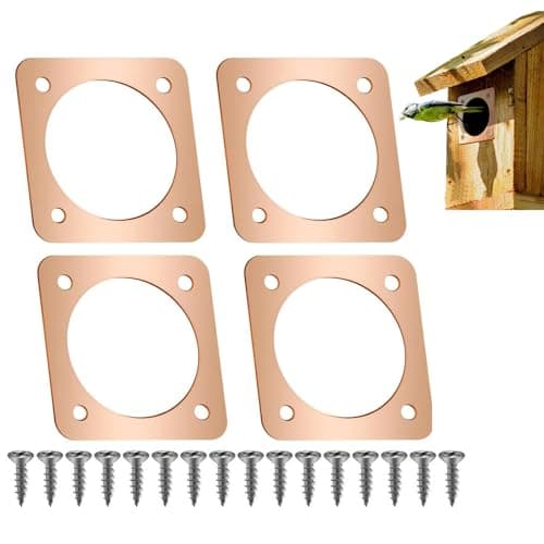 YAFIYGI 4 Pieces Birdhouse Predator Guard Copper Portal Metal Protector for Eastern Bluebird Houses 1 1/2 Inch Hole Guardian Baffle Mounting for Wren and Snake Defense(Rose Gold)
