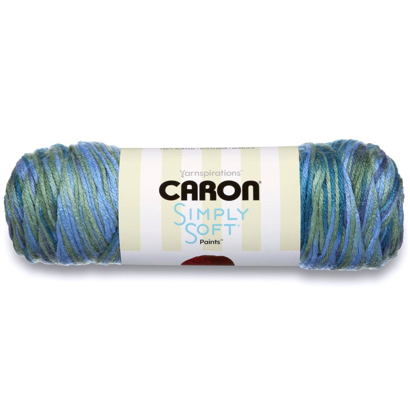 Caron Simply Soft Paints Yarn 4 Medium Worsted Gauge 100 Acrylic 5oz Spring Brook Machine Wash Dry