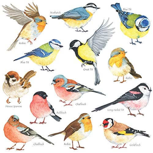 DECOWALL DS28038 Little Birds Kids Wall Stickers Wall Decals Peel and Stick Removable Wall Stickers for Kids Nursery Bedroom Living Room Small dcor