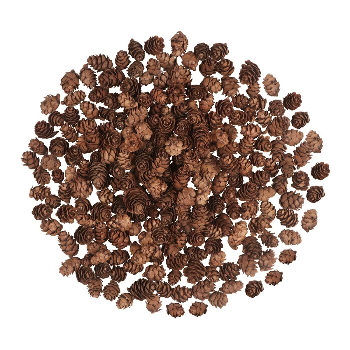 200PCS Christmas Natural Pine Cones Mini Fall Decorations Pinecones Ornaments Bulk Small Pine Cones for DIY Crafts Thanksgiving Fall Winter Christmas Wedding Decor Vase Filler Decor