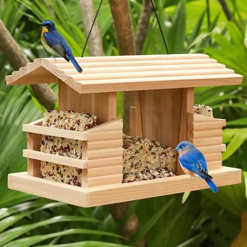 Double Suet Cake Bird Feeder, Wooden Hanging Platform with Windows, Outdoor Wild Bird Mealworm Feeder