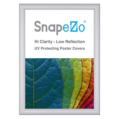 SnapeZo 16.5 x 23.4 (A2 Euro Size) Silver Poster Frame, Front-Loading, Wall Mount, Aluminum 1" Profile, Sleek Series