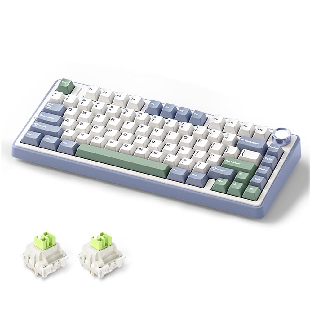 MOLGRIA x Aula F75 Gaming Keyboard Triple Mode Connected 75 Light Blue Mechanical Keyboard with SouthFacing RGB Backlit and KnobGreenLEOBOG Reaper Switch